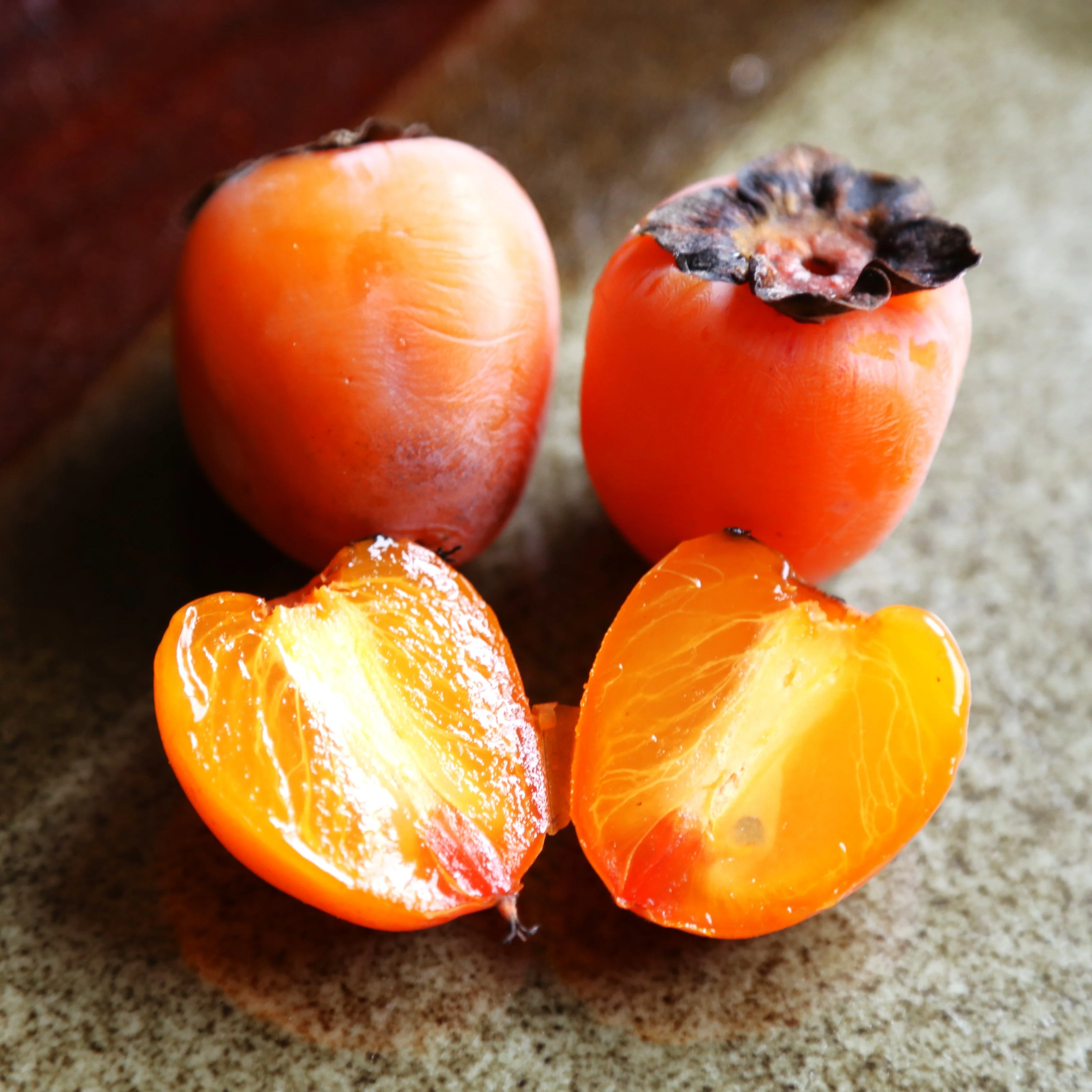American Persimmon Tree - Image 4