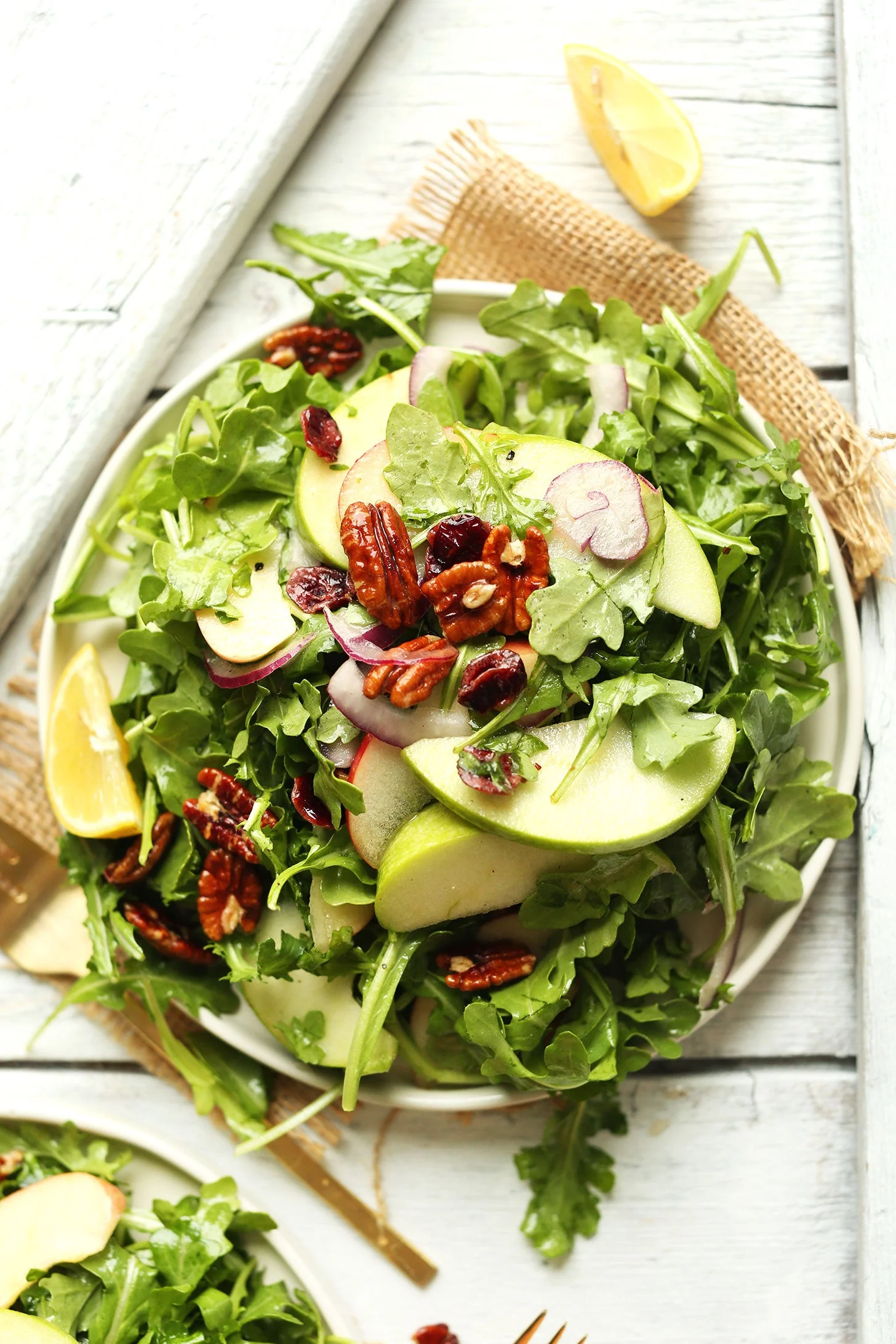 Astro Arugula - Image 5