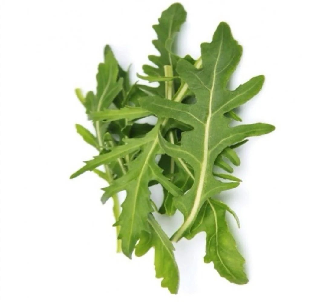 Astro Arugula - Image 9