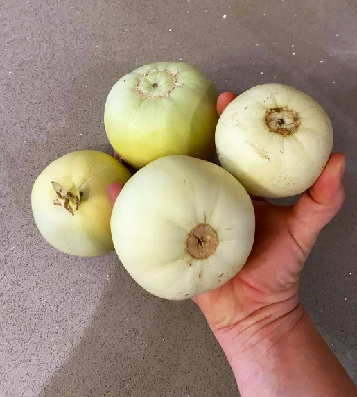 Bai Mibao Asian Melon - Image 5