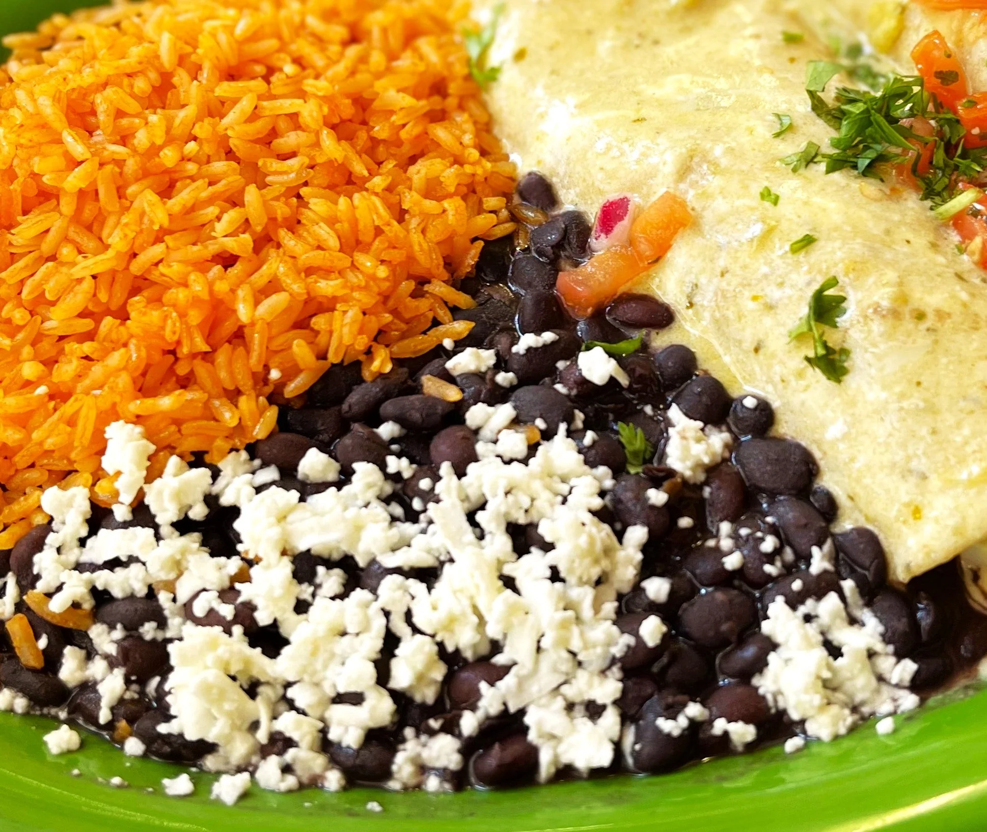 Black Turtle Bean (Black Bean) - Image 9