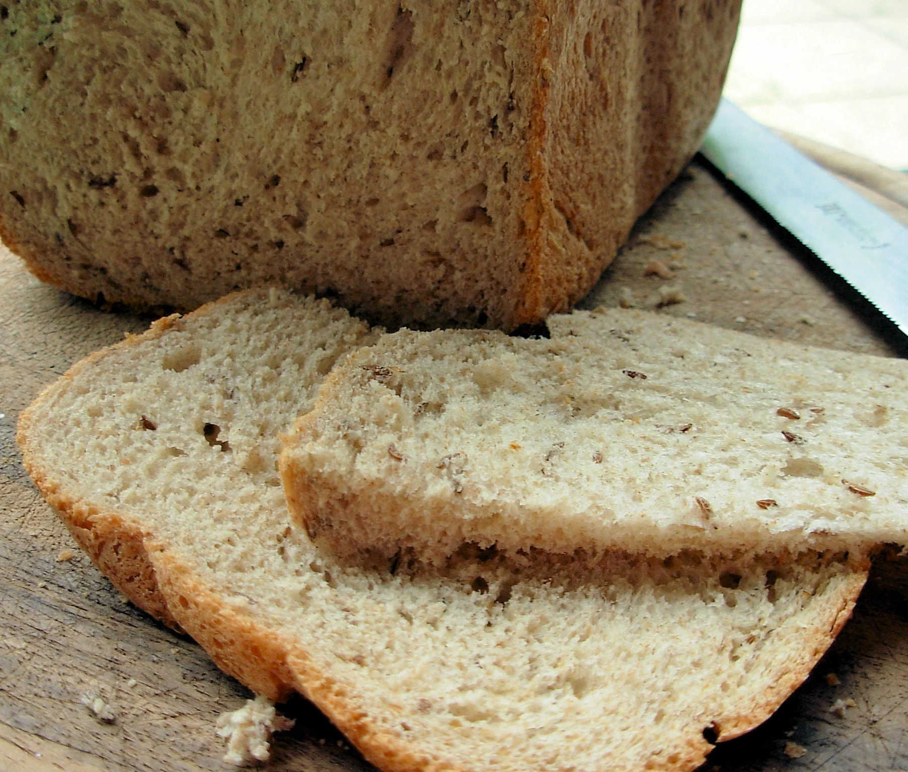 Caraway - Image 4