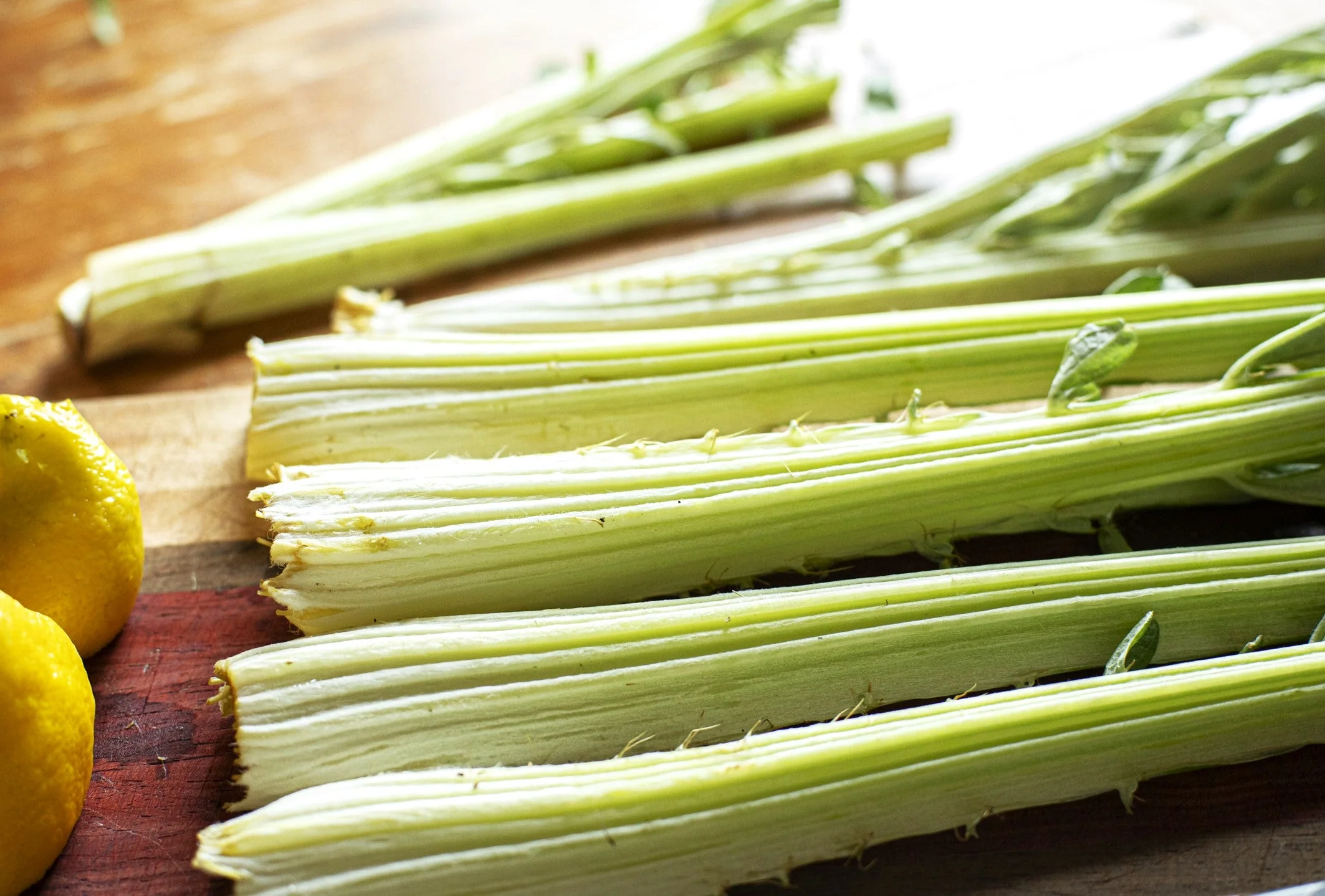 Cardoon - Image 5