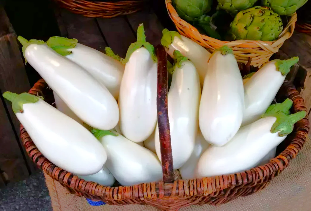 Casper White Eggplant - Image 5