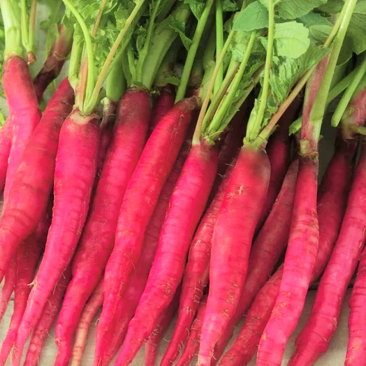 Fire Candle Radish