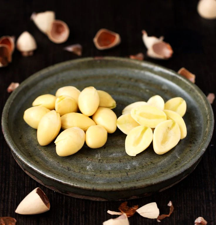 Ginkgo Biloba Tree - Image 6