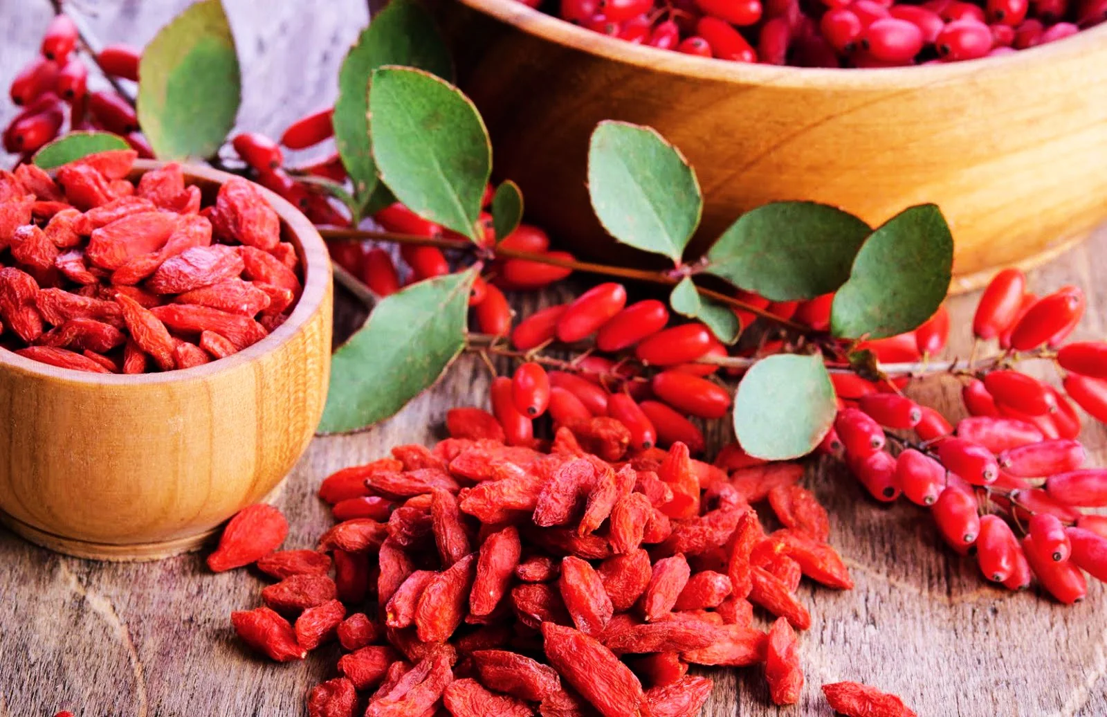 Goji Berry Tree - Image 4