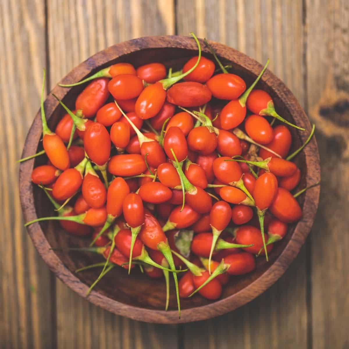 Goji Berry Tree - Image 5