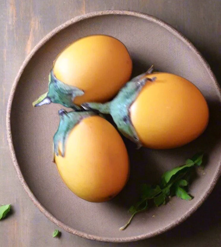 Golden Eggs Eggplant - Image 7