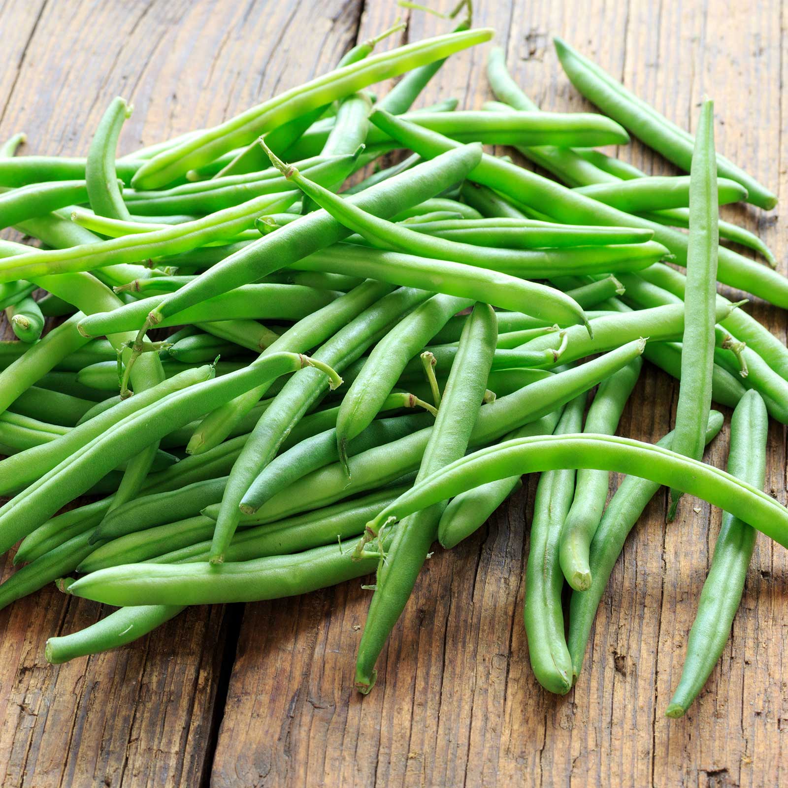 Kentucky Wonder Green Bean (Pole) - Image 7