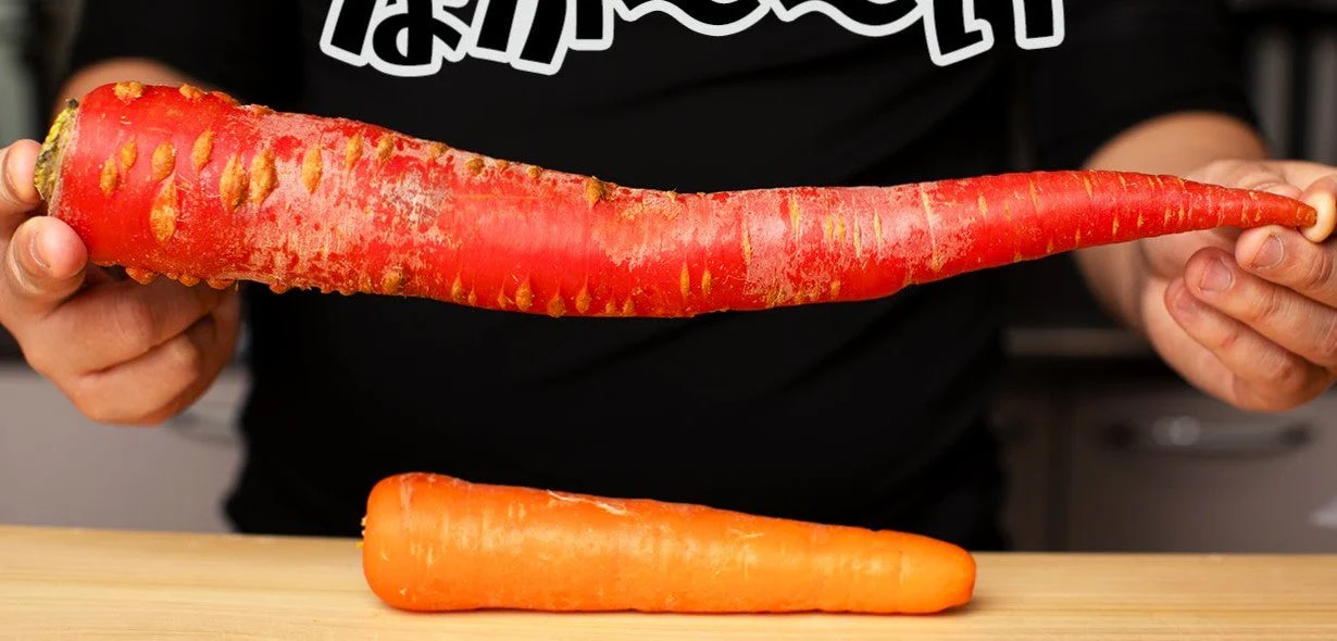 Kintoki Red Carrot - Image 9