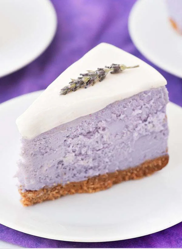 Vera Lavender - Image 4