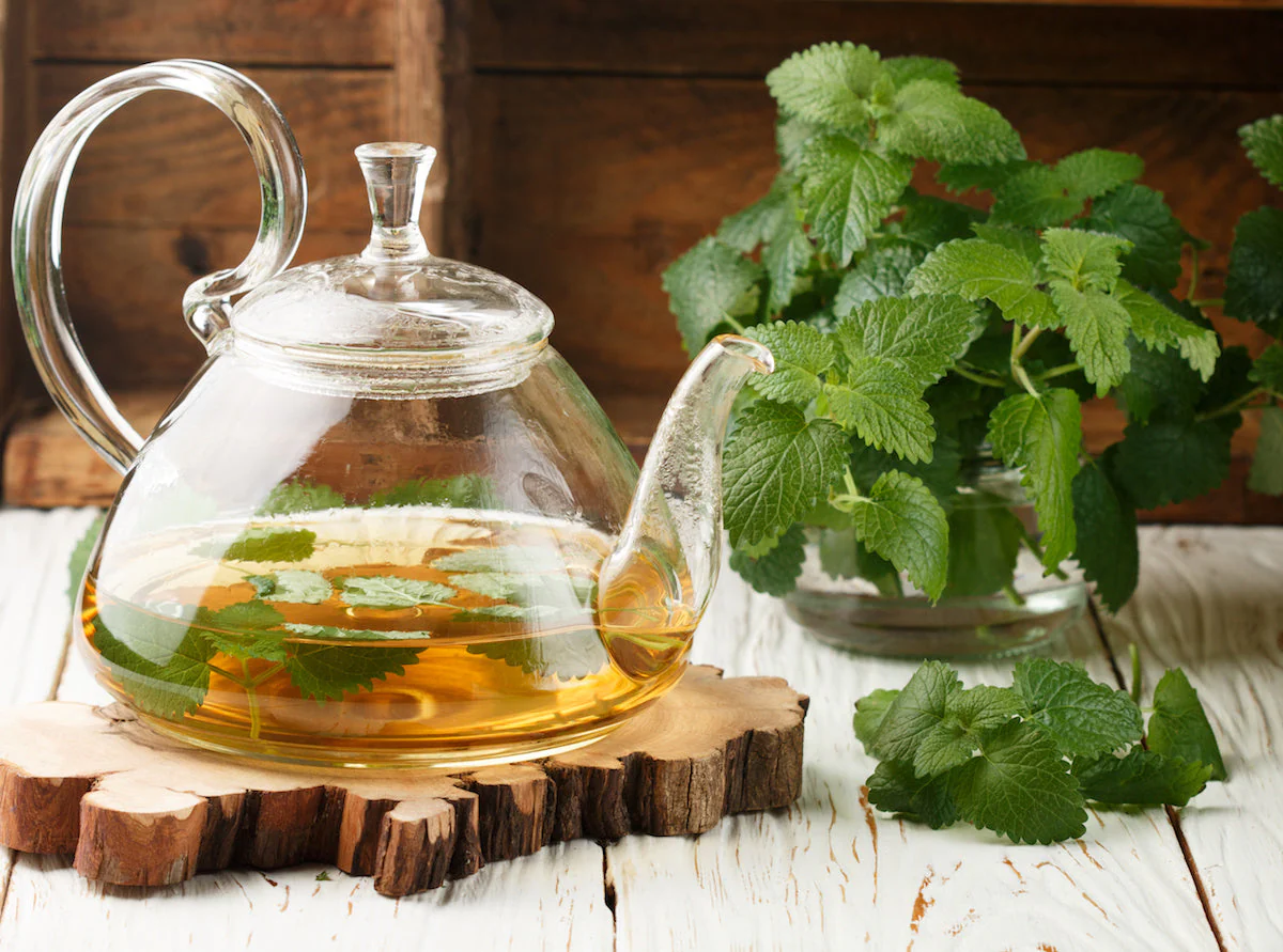 Lemon Balm - Image 4