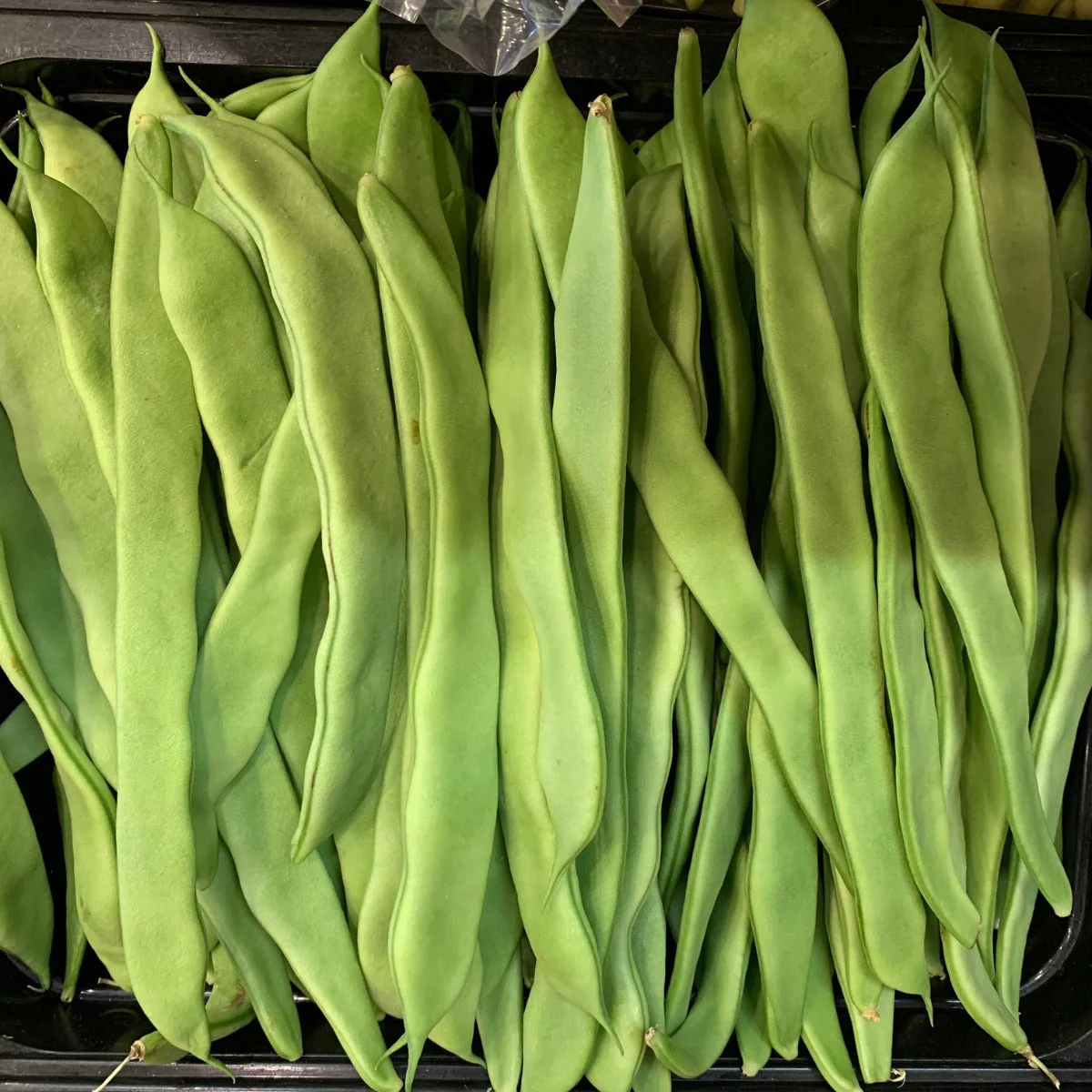 Lu Qing Romano Bean (Pole) - Image 2