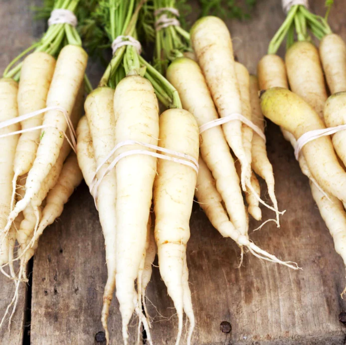 Lunar White Carrot - Image 3
