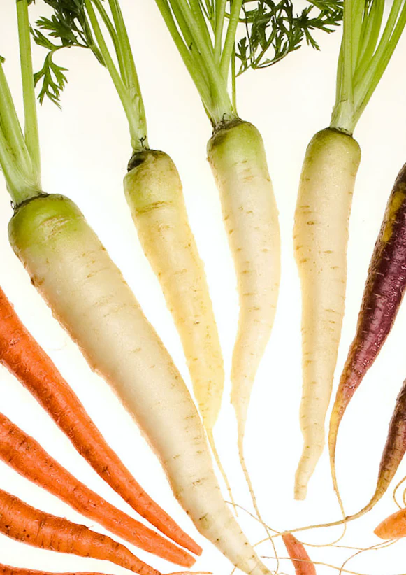 Lunar White Carrot - Image 7