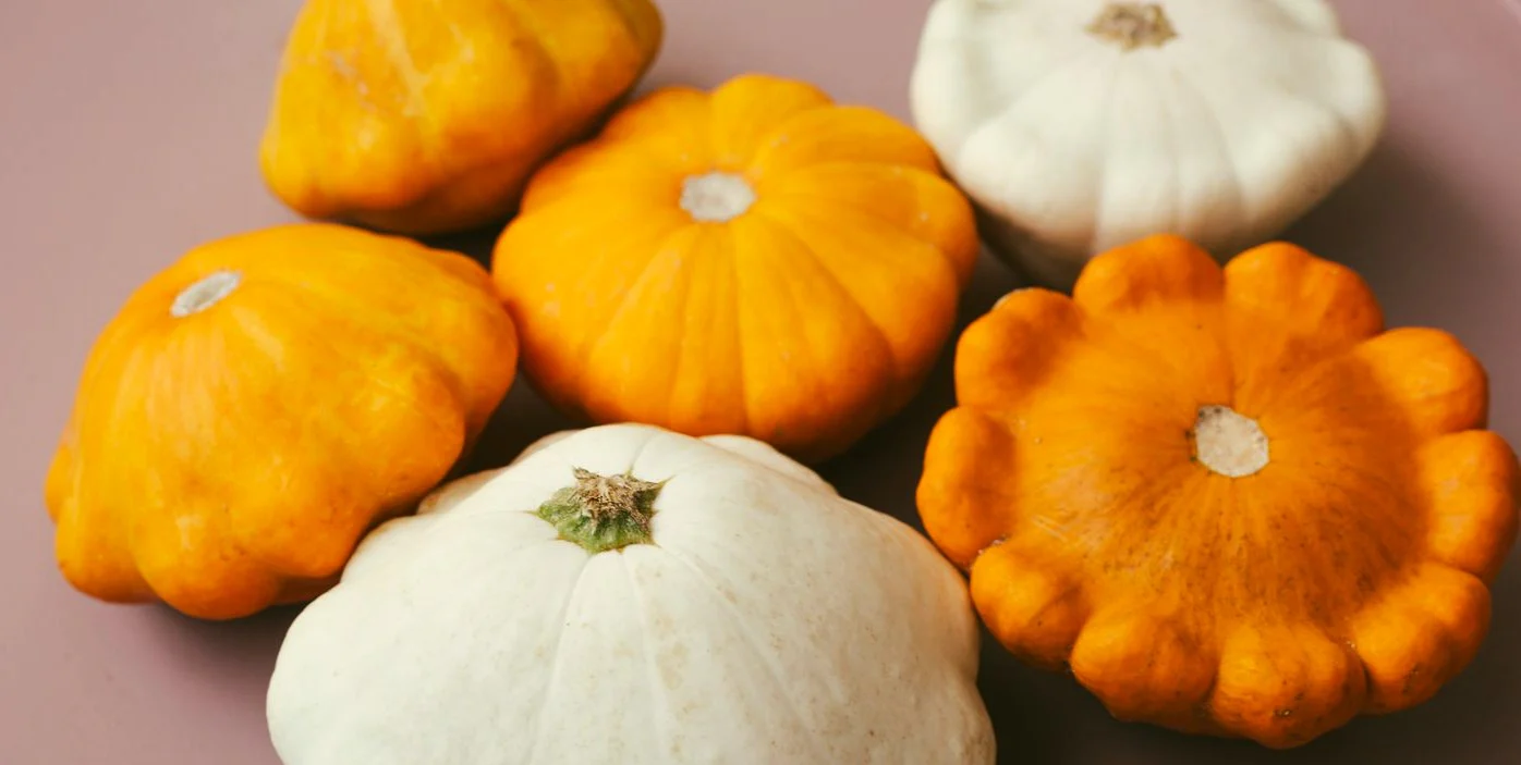 Orange Patty Pan (Bush Scallop Squash) - Image 6