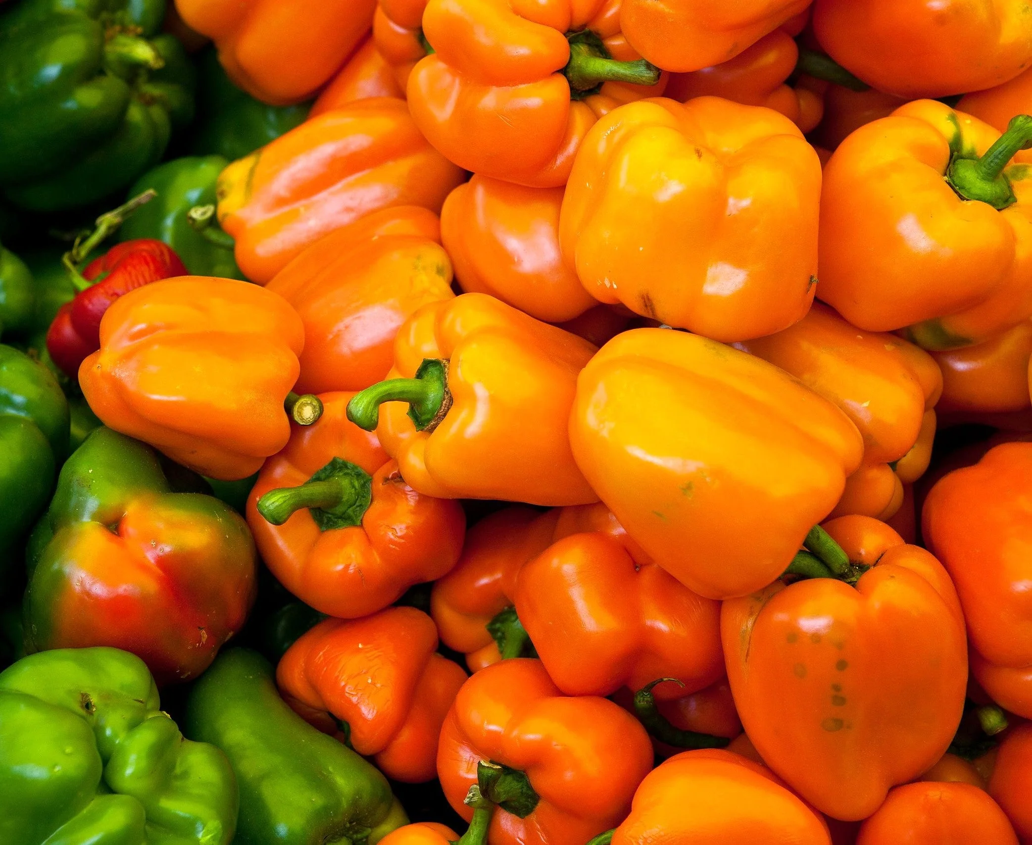 Orange Sun Sweet Bell Pepper - Image 6