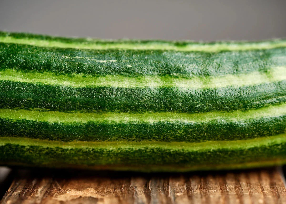 Painted Serpent Striped Armenian Cucumber - Image 8