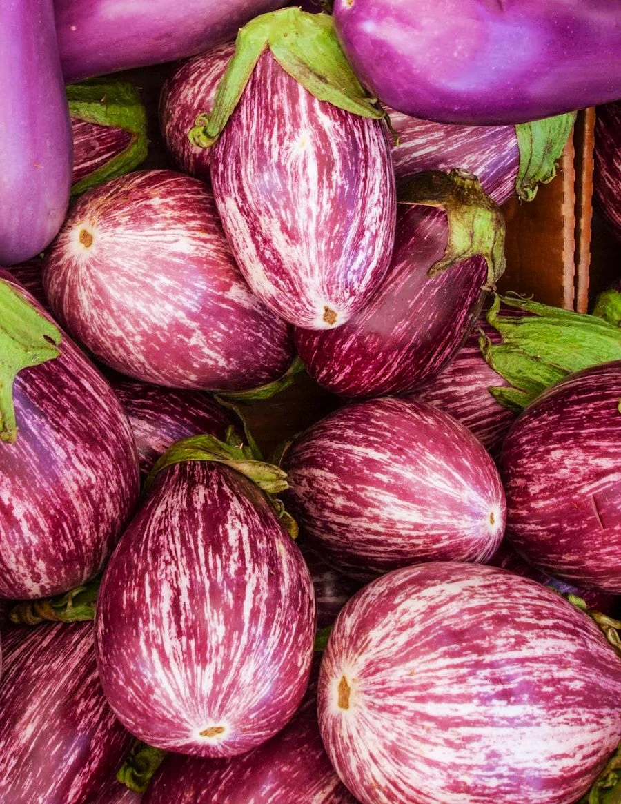 Pandora Striped Rose Eggplant - Image 6