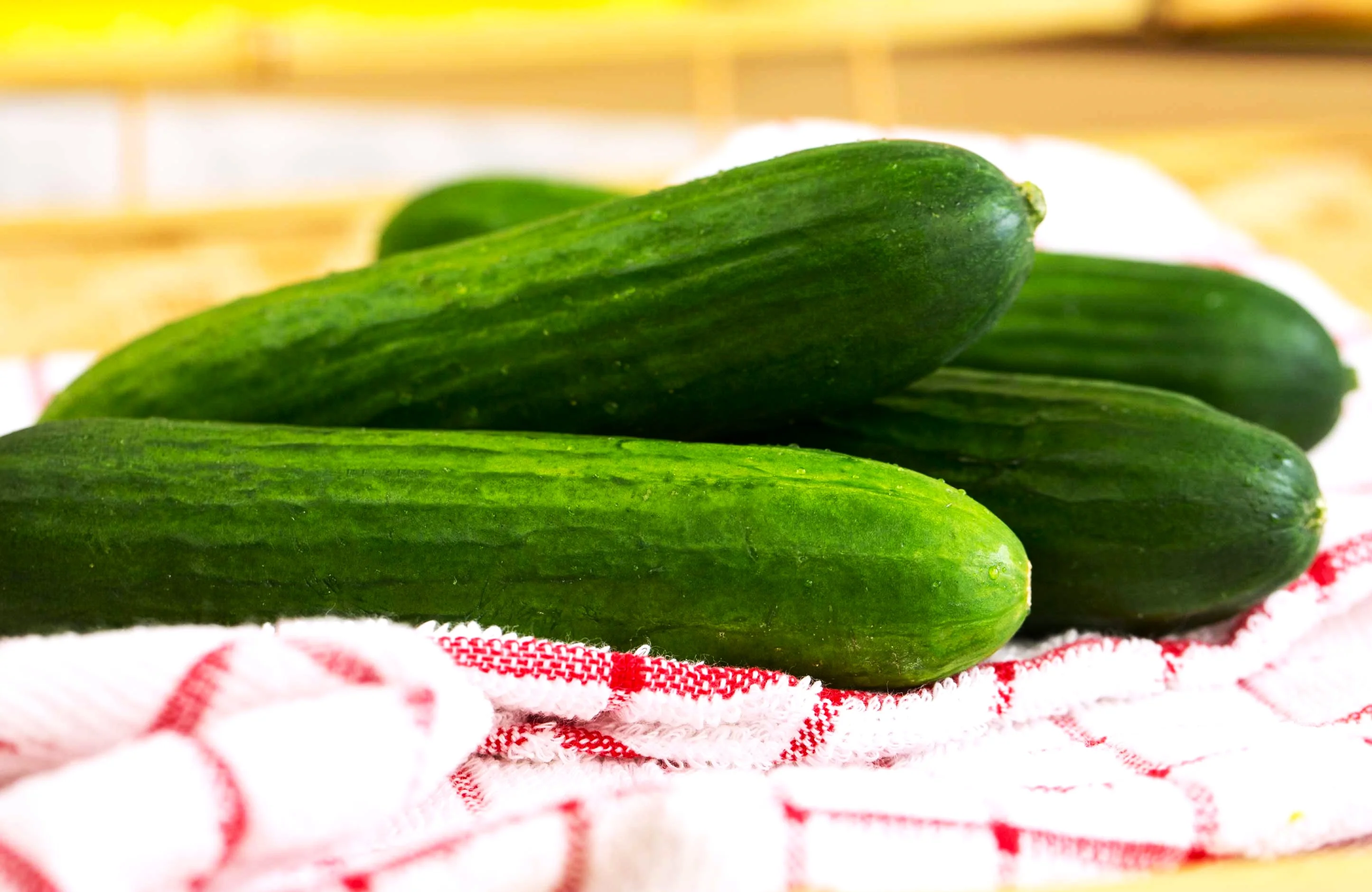 Persian Cucumber (Open-Pollinated) - Image 4