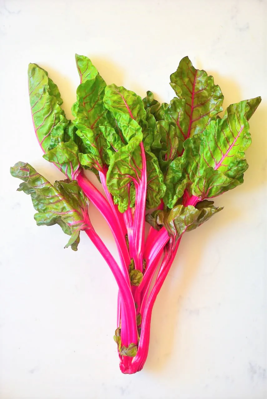 Pink Lipstick Swiss Chard - Image 9