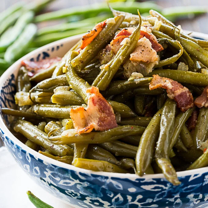 Provider Green Bean - Image 5