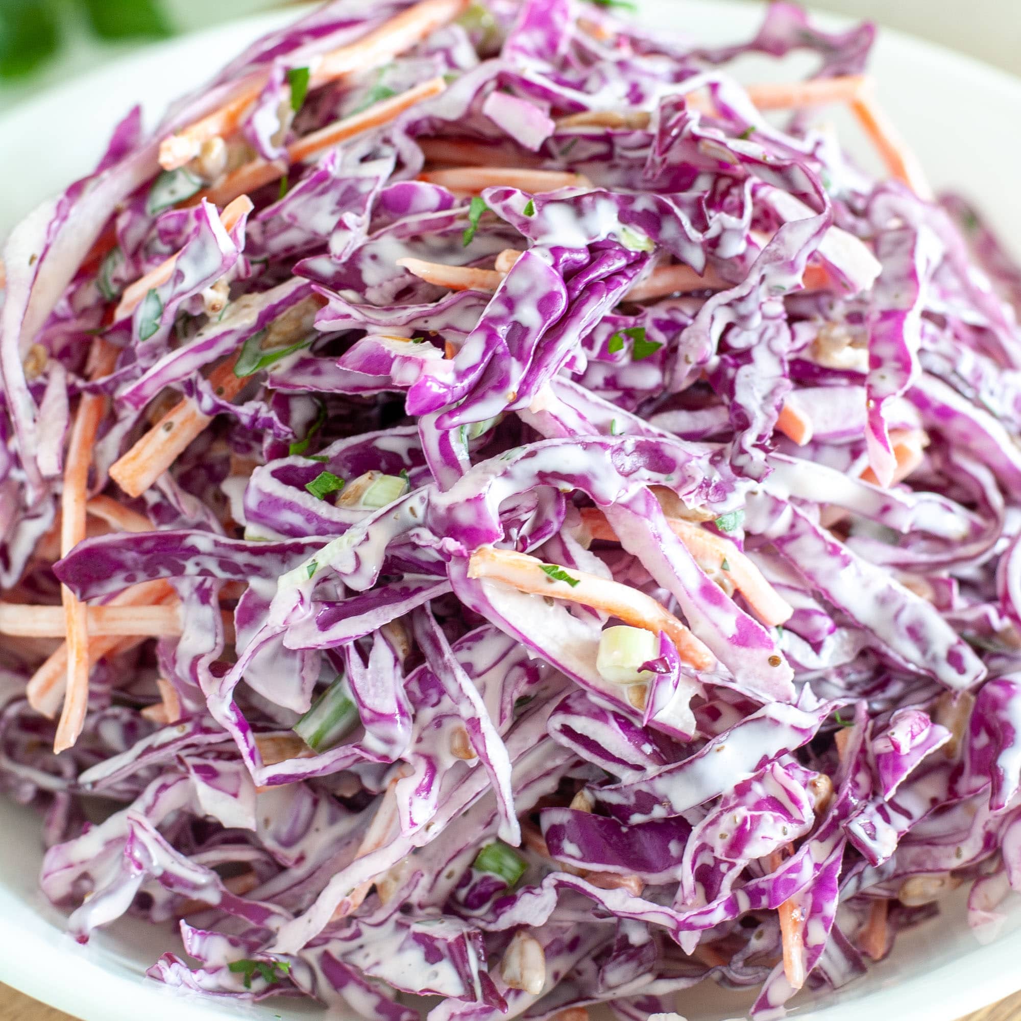 Red Acre Cabbage - Image 8