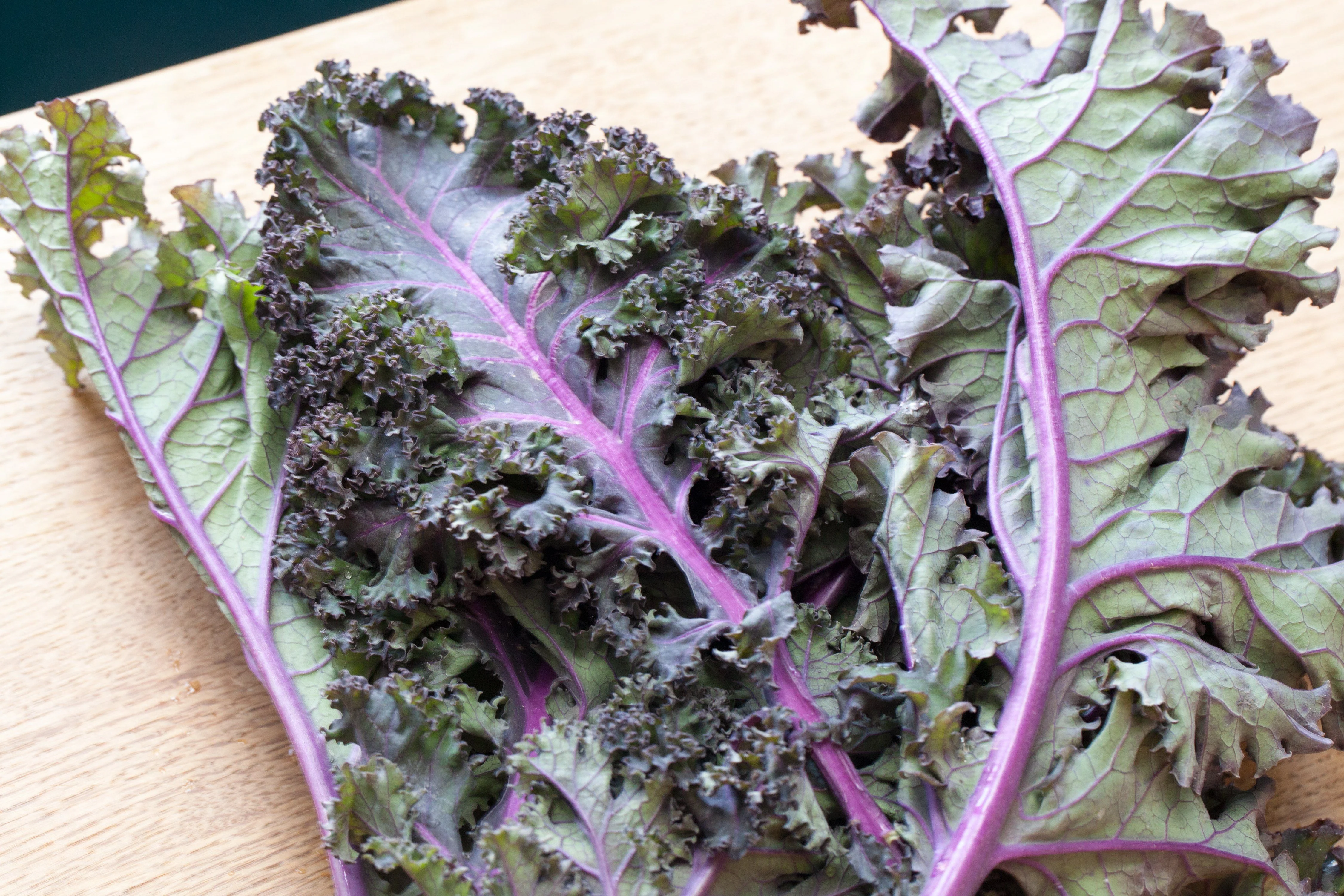Red Russian Kale - Image 4