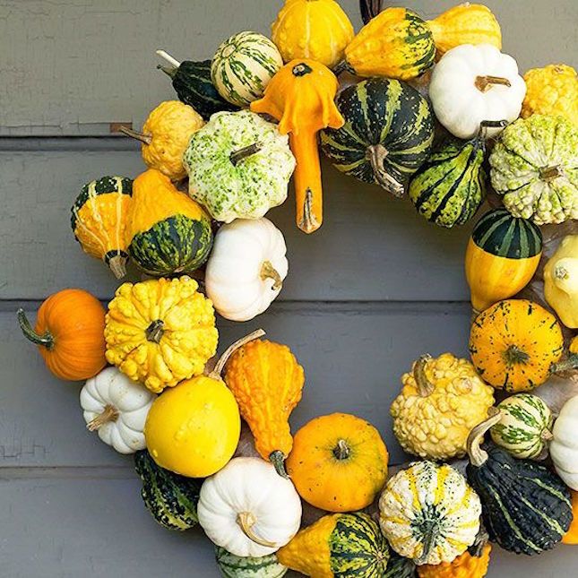 Small Mix Ornamental Gourd - Image 5