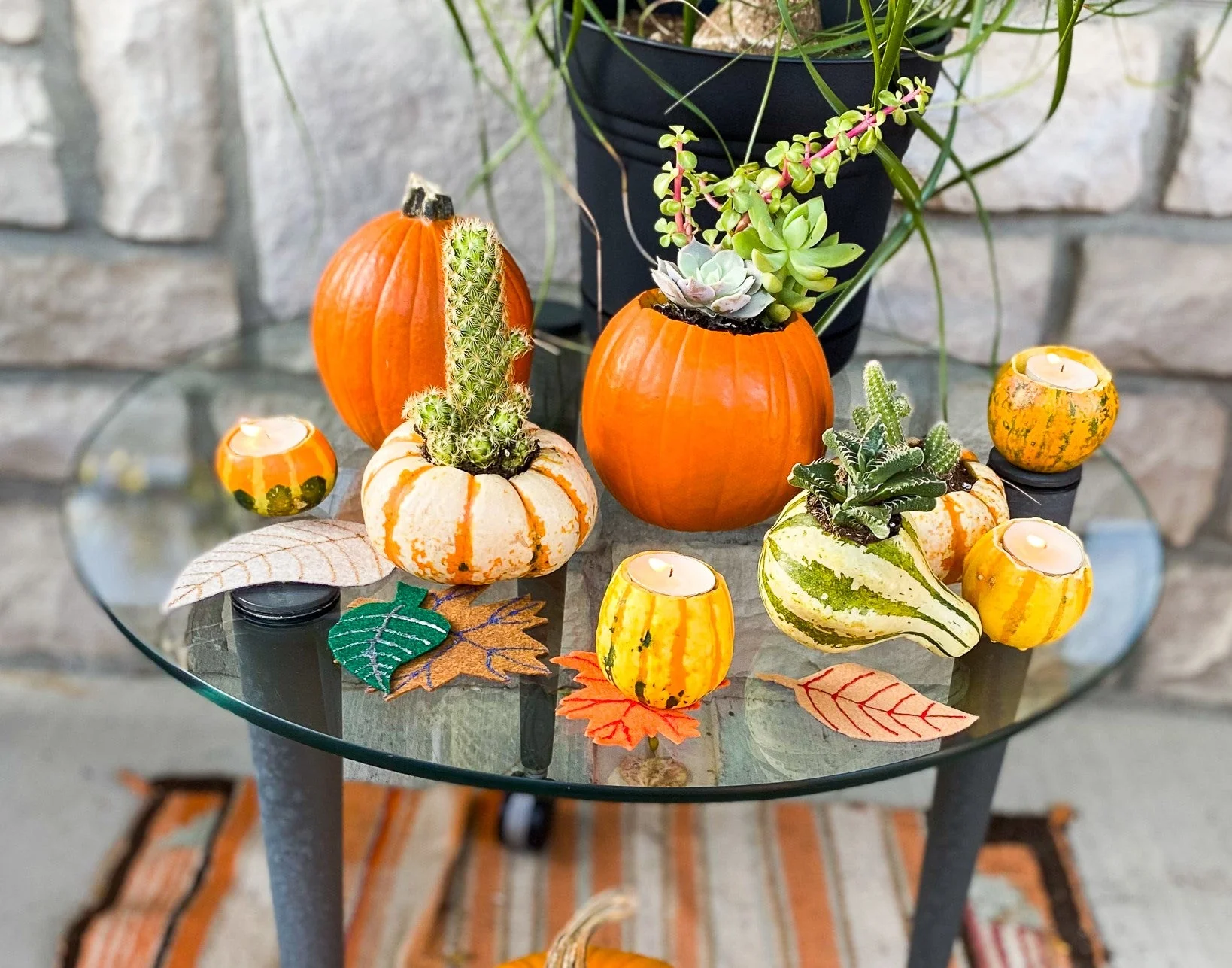 Small Mix Ornamental Gourd - Image 9