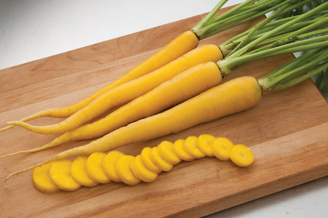 Solar Yellow Carrot - Image 3