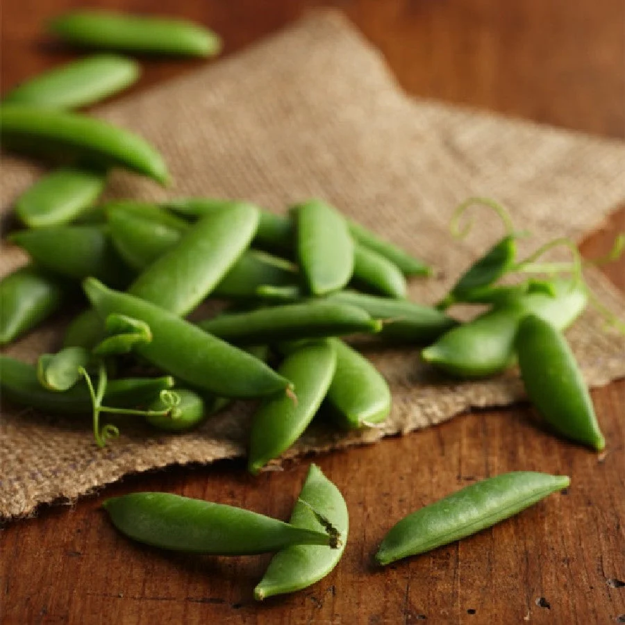 Sugar Ann Snap Pea - Image 3