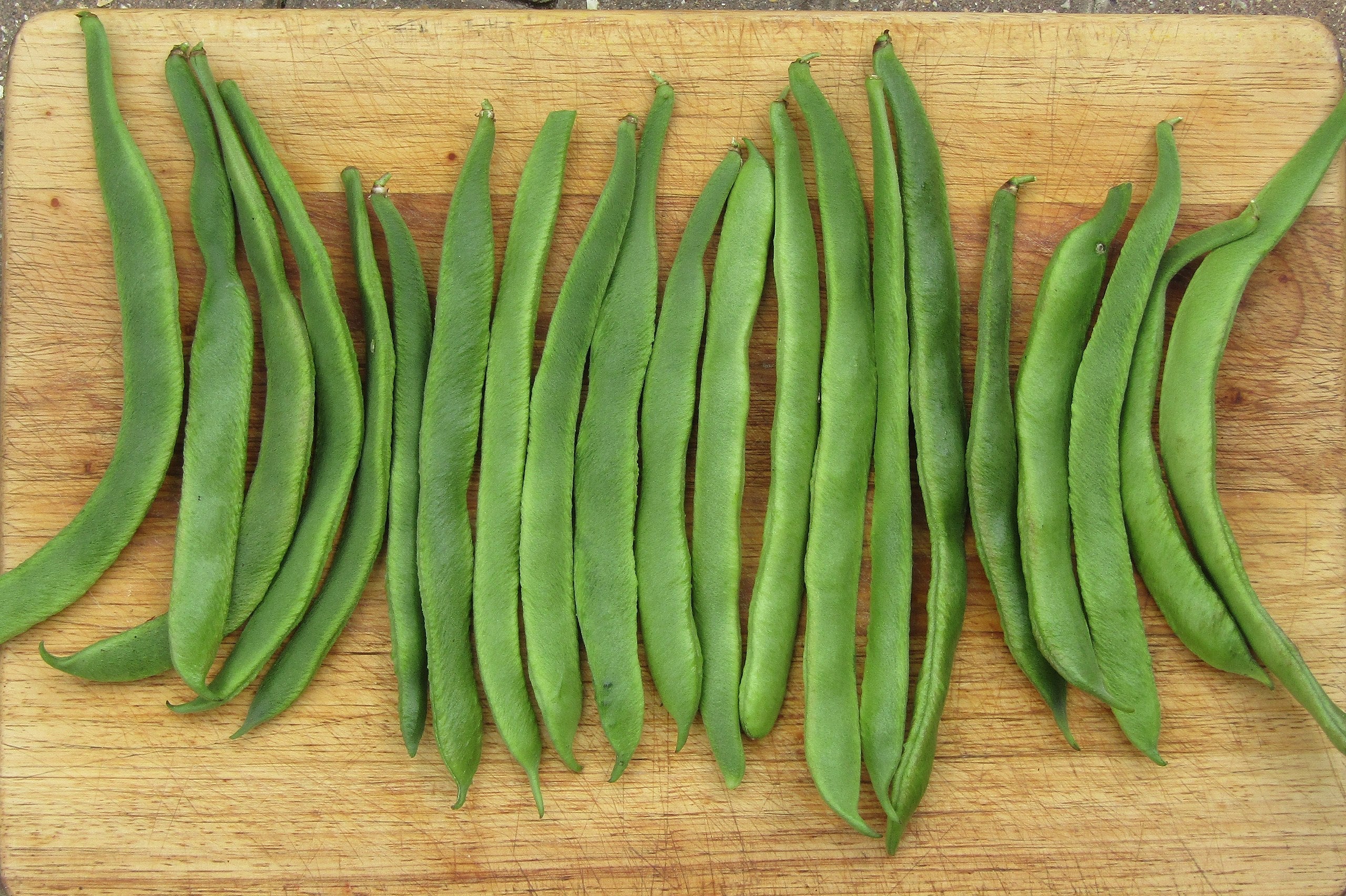 White Half Runner Bean (Pole) - Image 7