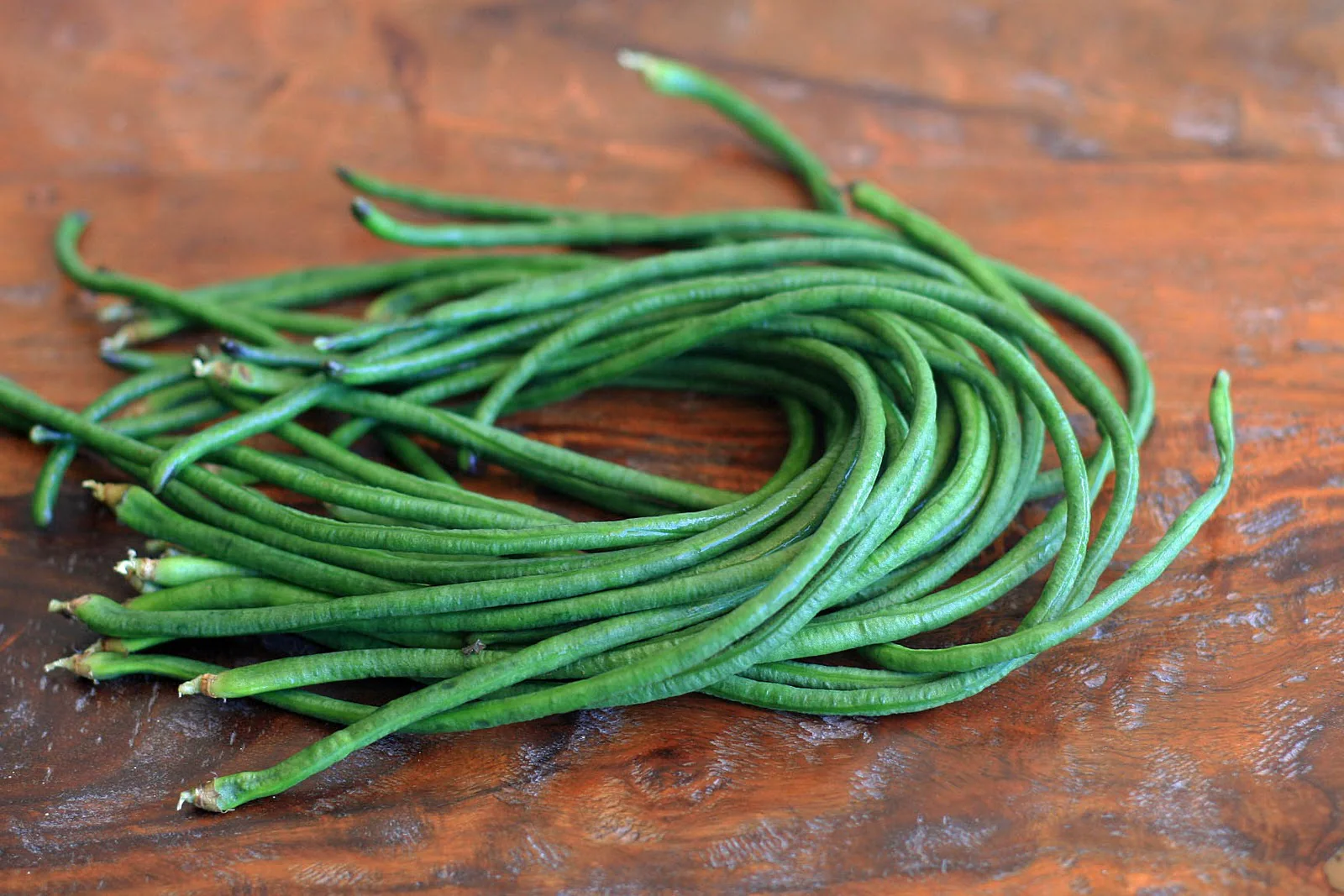 Yu Long Yard Long Bean - Image 3