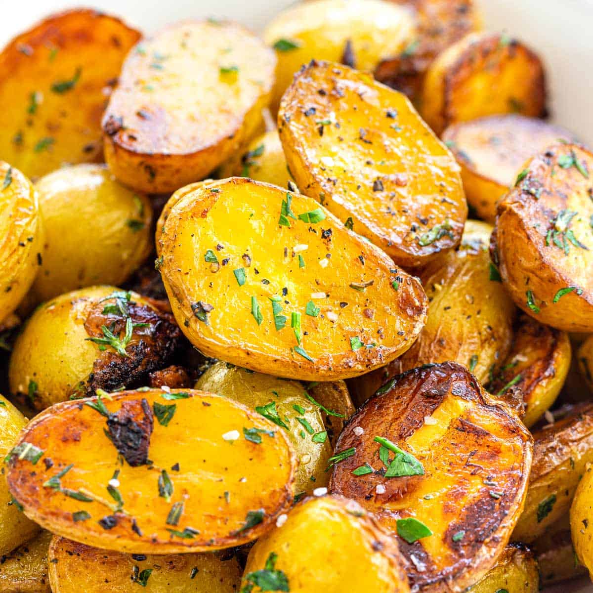 PRE-ORDER NOW! SHIPS APRIL 2026 - Yukon Gold Seed Potatoes - Image 3